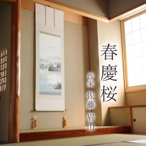 掛け軸「春慶桜」 佐藤眉山 尺五立 サイズ：54.5×190cm 桐箱付 掛け軸 表装 床の間