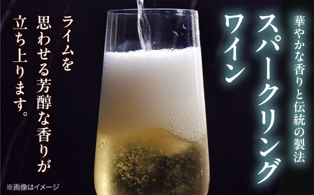 ワイン VILLAQUA グリーン [APAZ151] スパークリング ワイン
