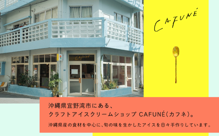 添加剤不使用 CAFUNE カフネ アイスクリーム 8個セット | 沖縄の食材 国産 厳選素材 沖縄素材 地産地消 手づくり アイス ハンドメイド クラフトアイスクリーム シャーベット | バニラ グァバ パッションフルーツ カルダモン 黒糖 紅芋 デザート アレンジ お取り寄せ スイーツ 詰め合わせ ご褒美 ギフト 贈り物 CAFUNE | 沖縄県 宜野湾市 送料無料