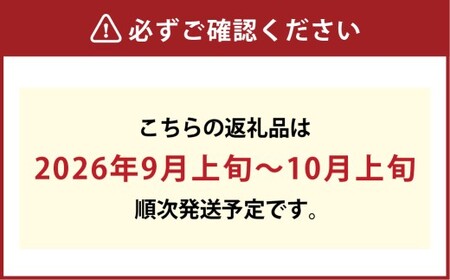 【訳あり】家庭用 シャインマスカット 摘み落とし 1.5kg以上【2026年9月上旬～10月上旬発送予定】果物 フルーツ くだもの マスカット ぶどう ブドウ 葡萄 ジューシー 甘い 濃厚 冷蔵