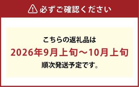 【訳あり】家庭用 シャインマスカット 800g以上 1房入り【2026年9月上旬～10月上旬発送予定】果物 フルーツ くだもの マスカット ぶどう ブドウ 葡萄 ジューシー 甘い 濃厚 冷蔵