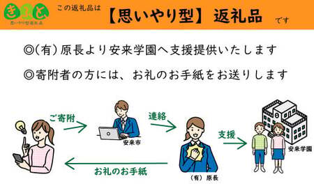 【思いやり型返礼品】児童養護施設安来学園の子どもたちに思い出を！【返礼品なし 返礼品無し 支援 応援 こども エール 島根県 安来市】【価格変更】