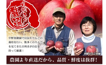 中野果樹園のジョナゴールド5kg（16～20個入り）/ジョナゴールド 送料無料 矢巾町産 りんご 予約 蜜 ジュース 甘い 酸味 贈答 ギフト プレゼント リンゴ 林檎 果物 くだもの フルーツ 岩手県 矢巾町