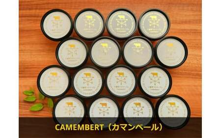 十勝産生乳の旨み！ジェラートアイスクリーム 16個セット CAMEMBERT（カマンベール）[027-0272]