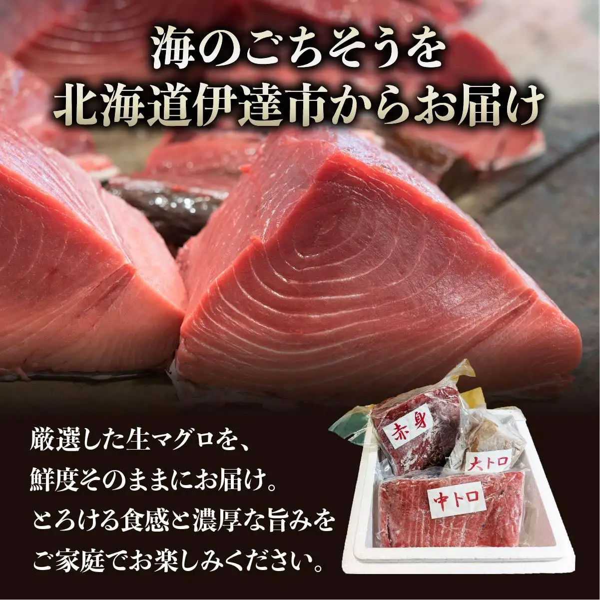 北海道産本マグロ（大トロ・中トロ・赤身）訳ありセット 500g【ogm-024】