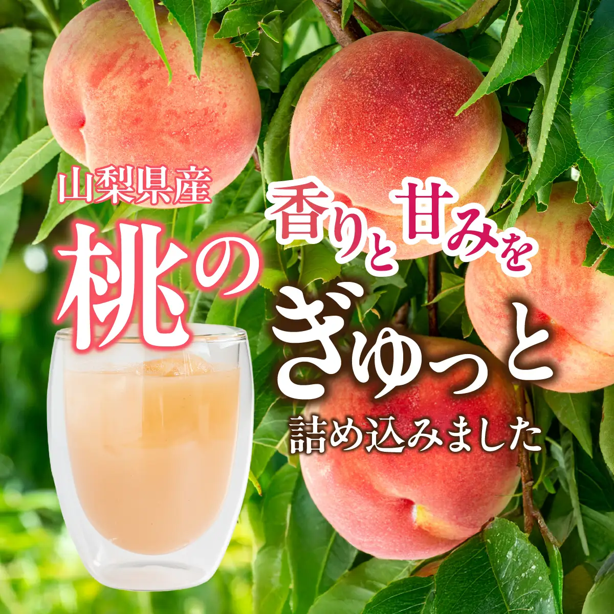 山梨県都留市産 桃ジュース 180ml×10本 DSX012