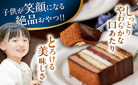 長崎石畳ショコラハーフサイズ6個（手渡し用袋付き）/ チョコレート チョコ チョコケーキ スイーツ ギフト 贈答　誕生日 記念日 ケーキ ちょこ 石畳 お配り用 プレゼント / 諫早市 / ネオクラシッククローバー[AHBS038]