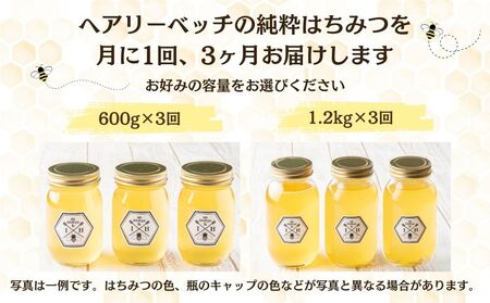 【定期便3回】むろうはちみつ 奈良産 純粋はちみつ へアリーベッチ (600g×3回)／ 66832 室生 国産 蜂蜜 ハニー ギフト お取り寄せ ふくさきわう 奈良県 宇陀市 ふるさと納税
