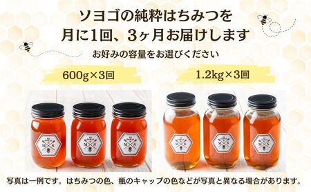 【定期便3回】むろうはちみつ 奈良産 純粋はちみつ そよご (600g×3回)／ 66832 室生 国産 蜂蜜 ハニー ギフト お取り寄せ ふくさきわう 奈良県 宇陀市 ふるさと納税