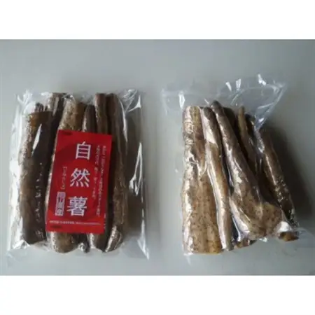 自然薯　600g【1701983】