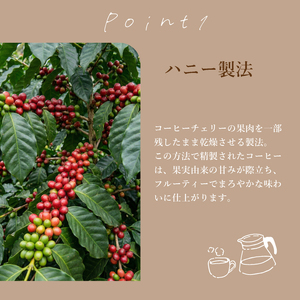 【 自家焙煎 珈琲  】コーヒー ドリップバッグ 10袋