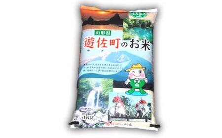 山形県産 はえぬき 5kg F2Y-4591