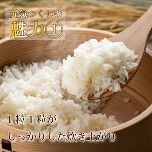 元気つくし 10kg 令和7年産 お米 米 こめ TJI