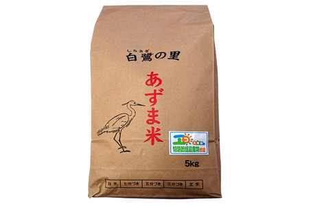 【令和7年産】特別栽培米 コシヒカリ 10kg (5kg×2袋) [1907]