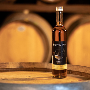 葡萄ブランデー 500ml 018-047 | ふるさと納税 ブランデー 山梨県 笛吹市 酒 アルコール 記念品 お祝い 送料無料 |