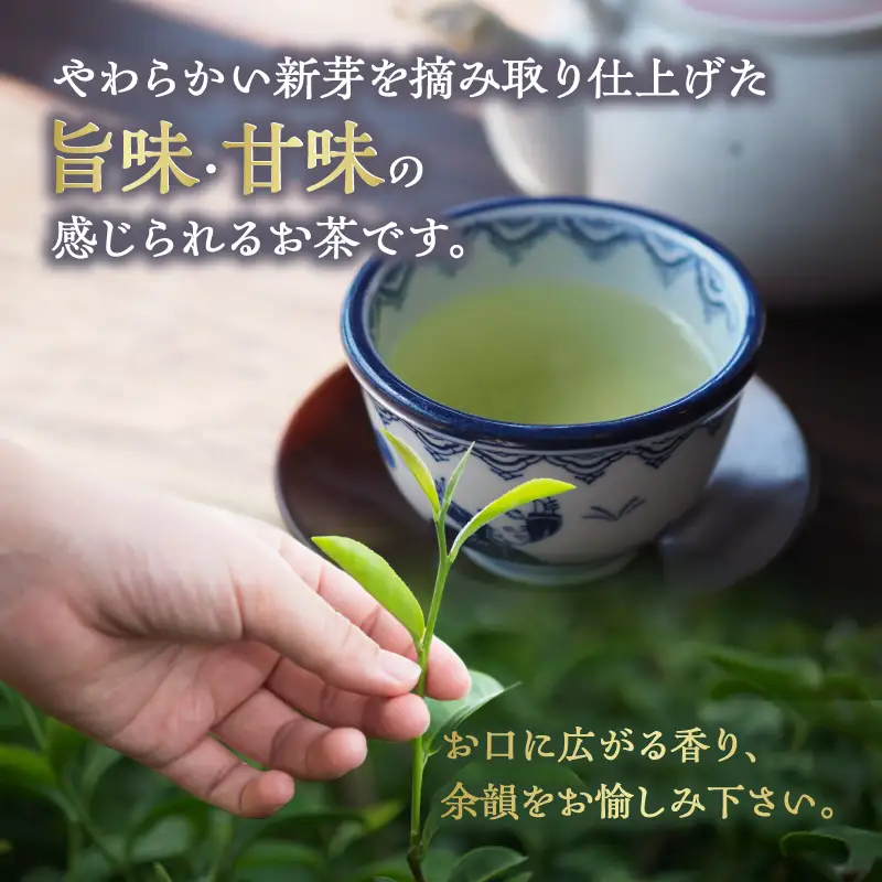 八女茶特上煎茶 3本セット【メール便】 煎茶 特上 美味しい お茶 贈り物 八女茶 日本茶 緑茶 福岡県 八女市 ポスト投函 簡易包装 訳あり 209-002