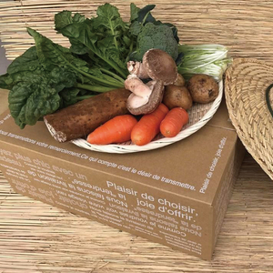 【10ヶ月定期便】★毎月下旬発送★身体が喜ぶ季節の野菜 10～12品目｜野菜 やさい 野菜セット セット 詰め合わせ おまかせ 定期便 野菜定期便 茨城県 行方市(BI-111)
