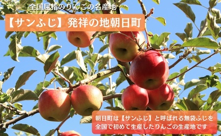 焼き菓子 詰合せ セット りんごサブレ5枚やきりんご2個クッキー（チーズ・ごま・チョコ・キャラメル各1枚ずつ） 山形県 朝日町 スイーツ 菓子 りんご アップル パイ