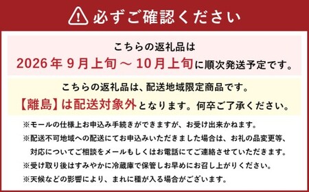訳あり家庭用シャインマスカット摘み落とし1kg以上 マスカット ぶどう ブドウ 葡萄 グレープ フルーツ 果物 デザート おやつ 種なし 皮ごと 旬 岡山県 美咲町 【2026年9月上旬から10月上旬頃発送予定】