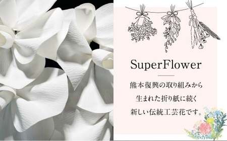SuperFlower「胡蝶蘭ギフト」 伝統工芸花 工芸花 スーパーフラワー 国産 日本製 熊本県産 胡蝶蘭 コチョウラン こちょうらん  熊本県 熊本市