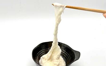 自然からのやさしい贈り物 天栄自然薯2本 贈答用にも 山芋 芋 イモ 根菜 福島県 天栄村 F21T-462