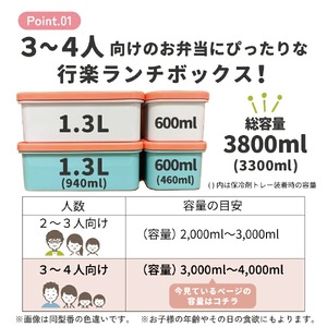 保冷バッグ付 行楽ランチセット くまのがっこう KCPC4 奈良県奈良市 15-112 スケーター 627859