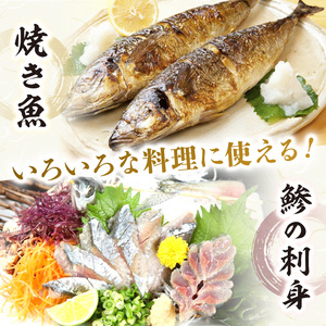 【0007-3】御坊産　鮮魚セット2.5kg【配送不可地域】沖縄・北海道・東北・九州