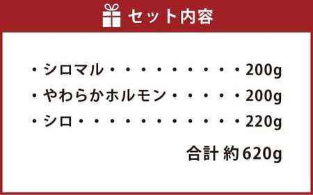 珍満焼肉セット タレ漬け豚シロマル、やわらかホルモン、タレ漬けシロセット 約620g 豚肉 料理 おつまみ バーベキュー 焼き肉 キャンプ セット 食べ比べ 冷凍 神奈川県 大和市