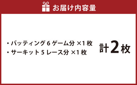 バッティング 6ゲームカード×1枚 サーキット 5レースカード×1枚セット 計2枚 大和レジャースポーツプラザ ビッグバン 野球 打撃練習 チケット 利用券 室内 スポーツ アミューズメント 神奈川県 大和市
