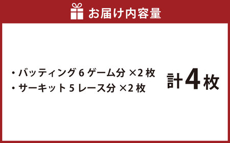 バッティング 6ゲームカード×2枚 サーキット 5レースカード×2枚セット 計4枚 大和レジャースポーツプラザ ビッグバン 野球 打撃練習 チケット 利用券 室内 スポーツ アミューズメント 神奈川県 大和市