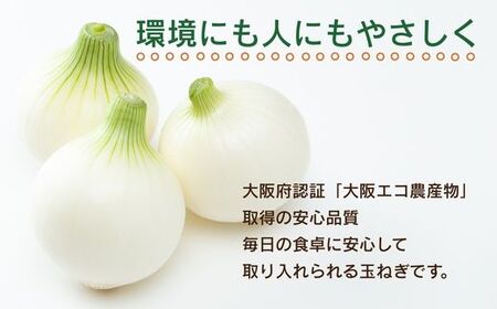 新玉ねぎ 2kg×2箱  ※4-5月発送予定