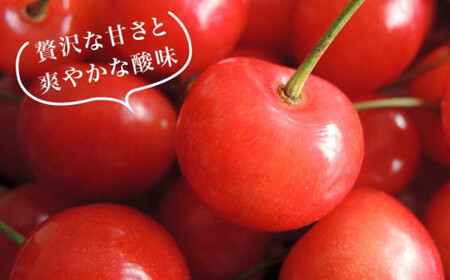 旬のさくらんぼ 佐藤錦、紅秀峰、紅佐藤、紅香、サミット 約1kg［小布施屋］サクランボ くだもの 果物 フルーツ チェリー バラ詰め 長野県産 信州産 数量限定 令和8年産【2026年6月中旬～7月中旬発送】[B-1]