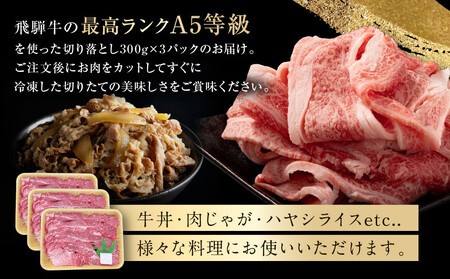 【6月発送】飛騨牛 A5等級 切り落とし 900g（300g×3パック） | 訳あり 簡易包装 小間切れ A5ランク A5 5等級 肉 黒毛和牛 ブランド牛 発送時期が選べる 飛騨高山 ながせ食品 FH026VC06