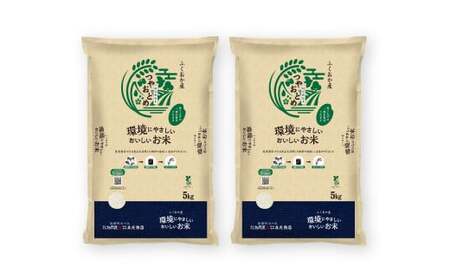 A205 【令和7年産】 環境にやさしいおいしいお米 5kg×2袋 合計10kg 【2026年10月上旬迄順次発送予定】 つやおとめ 精米 米 バイオマス 福岡県 みやま市