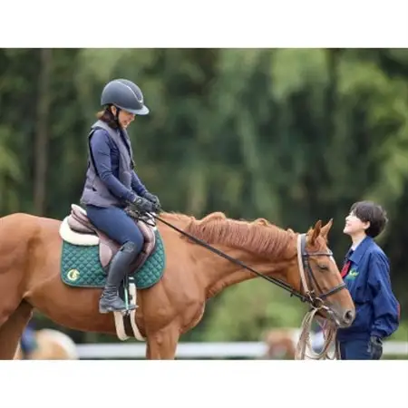 乗馬体験6回コース(30分×6回) レッスンご利用券(別途装具レンタル・保険料必要)【1703899】