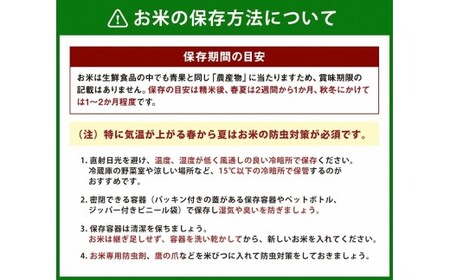【令和7年産米】新潟県村上市 新之助5kg　1033005