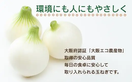 【令和8年度産玉ねぎ先行予約】玉ねぎ 10kg×1箱 ※6月より発送予定