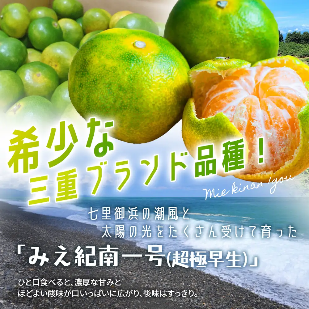みかん 超極早生温州みかん みえ紀南一号 約10kg【nkmr0014】