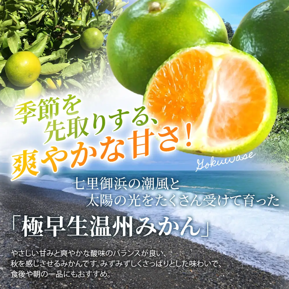みかん 極早生温州みかん 約7kg【nkmr0017】
