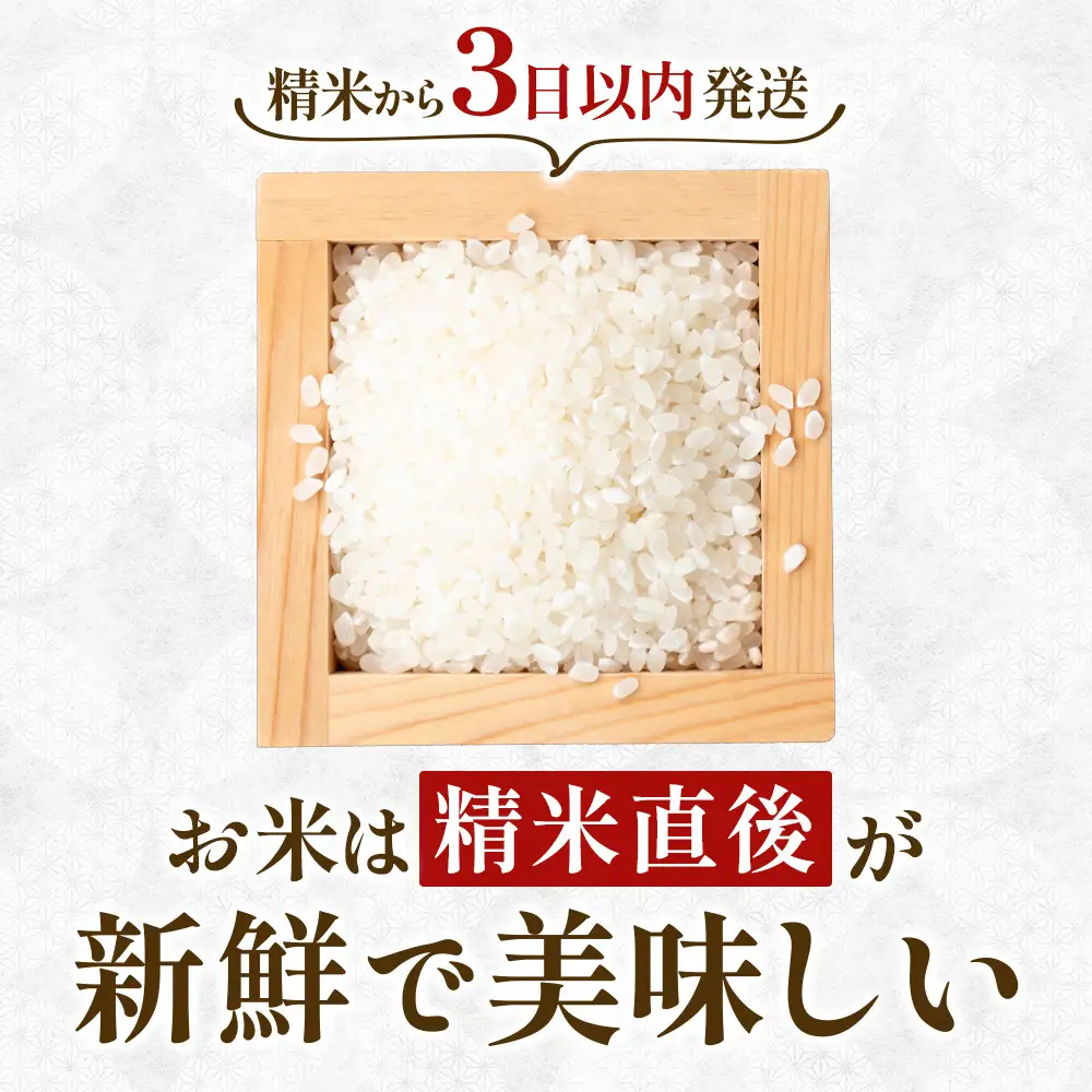 【令和7年産】宮城県産ひとめぼれ【無洗米】10kg（5kg×2） ｜ ひとめぼれ