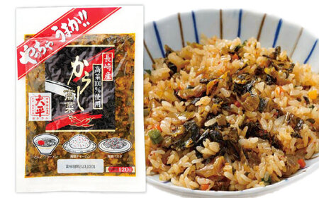 高菜漬け 食べ比べ セット 620g [SAK008] 高菜