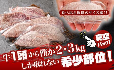 【父の日】宮崎牛ミスジステーキ 約100g×6枚(真空)≪6月18日～21日お届け≫〔AC-8918-FG〕_(都城市) 宮崎県産宮崎牛 1枚ずつ真空 ミスジステーキ 希少部位
