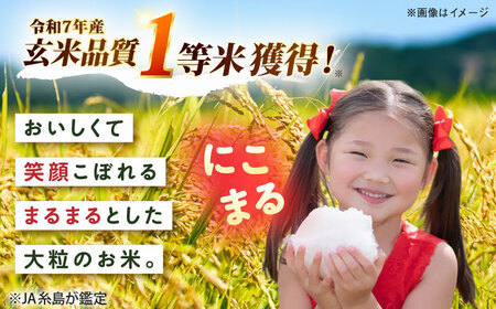 【令和7年産】【スピード発送】にこまる  白米 5kg(5キロ)  糸島市 / 糸島の恵み[AGR001] お米