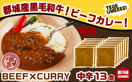 【父の日】カレー倶楽部ルウの26食カレーセット(ビーフ13食&チキン13食)≪6月18日～21日お届け≫〔14-2701-FG〕_(都城市) ビーフカレー 都城産黒毛和牛使用 チキンカレー 国産鶏使用 チルド食品