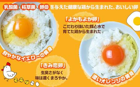 【父の日】「きみ恋卵」と「よかもよか卵」のたまごかけご飯セット≪6月18日～21日お届け≫〔12-2902-FG〕_(都城市) きみ恋卵 よかもよか卵 Ｍサイズ たまごかけご飯専用醤油「玉子ちゃん」 甘口 卵かけご飯 朝ごはん 朝食