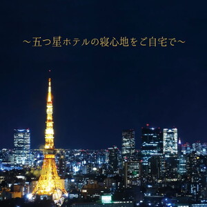東京ラグジュアリーホテルピロー パールホワイト　ベッドに並べるだけで5つ星ホテルの寝室が再現できる、ホテル仕様の枕＆枕カバー10点セット ｜ まくら 抱き枕 クッション ホテル ホテル仕様 ホテルの枕 わた 綿 寝室 高級 枕カバー