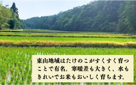 【定期便】令和7年産 コシヒカリ 精米10kg×6ヶ月（毎月） お米 白米 こしひかり｜石川県 小松市【元田農産】