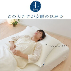 上半身を支える枕（ヨーロピアンピロー） シャンパンベージュ　ふわ～っとゆっくり沈み込み、包み込まれるような寝心地の大きな枕 ｜ まくら 大きい 大きい枕 でかい枕 大きな枕 背中 背中まで 正方形 ホテル 洗える 洗える枕 柔らかい