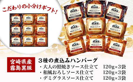 【父の日】霧島黒豚 3種の煮込みハンバーグギフト (デミグラスソース仕立て・和風おろしソース仕立て・大人の照焼きソース仕立て)≪6月18日～21日お届け≫〔AA-2804-FG〕_(都城市) 都城産 霧島黒豚 おかず ハンバーグ 父の日 簡単