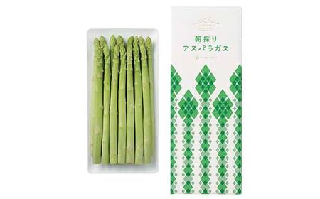 【山形の極み】贈答用 山形県産 朝採り アスパラガス 500g 2026年4月下旬頃から順次発送 F2Y-6843
